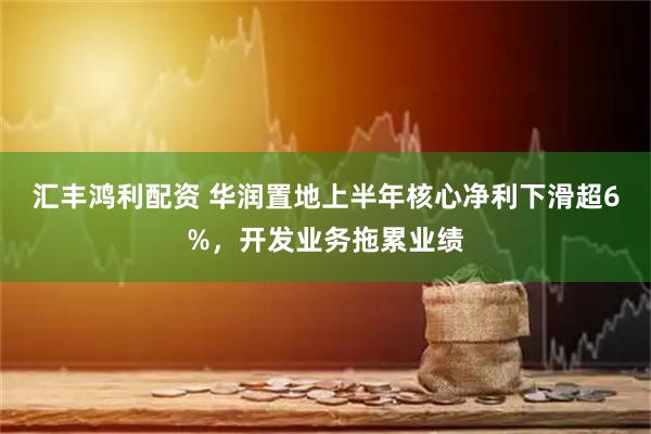 汇丰鸿利配资 华润置地上半年核心净利下滑超6%，开发业务拖累业绩