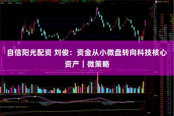 自信阳光配资 刘俊：资金从小微盘转向科技核心资产｜微策略