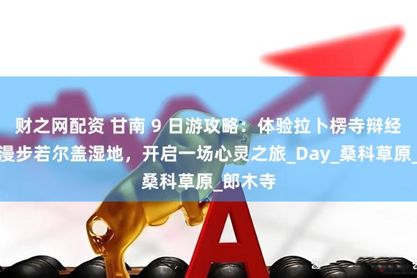 财之网配资 甘南 9 日游攻略：体验拉卜楞寺辩经文化，漫步若尔盖湿地，开启一场心灵之旅_Day_桑科草原_郎木寺